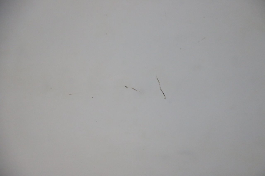 photo de PARE BRISE HONDA FES S-WING SWING ABS 125 (2007 - 2015)