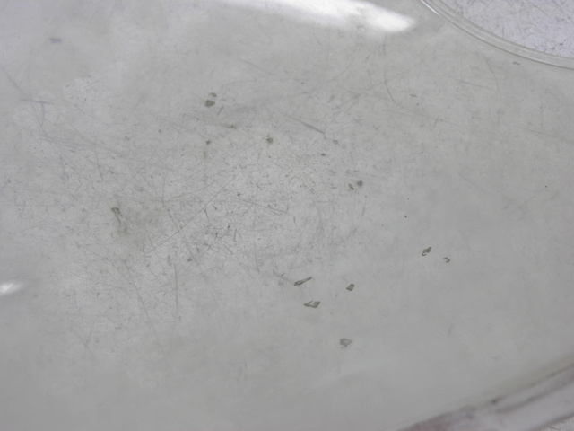 photo de PARE BRISE SUZUKI SV S 650 (1999 - 2002)