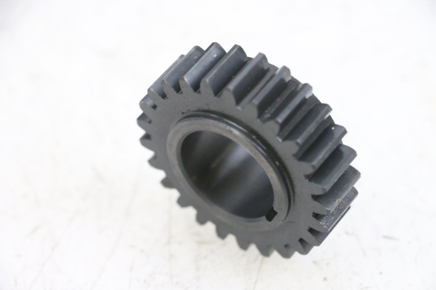 photo de PIGNON DAELIM S1 125 (2007 - 2016) - Détail de la pièce