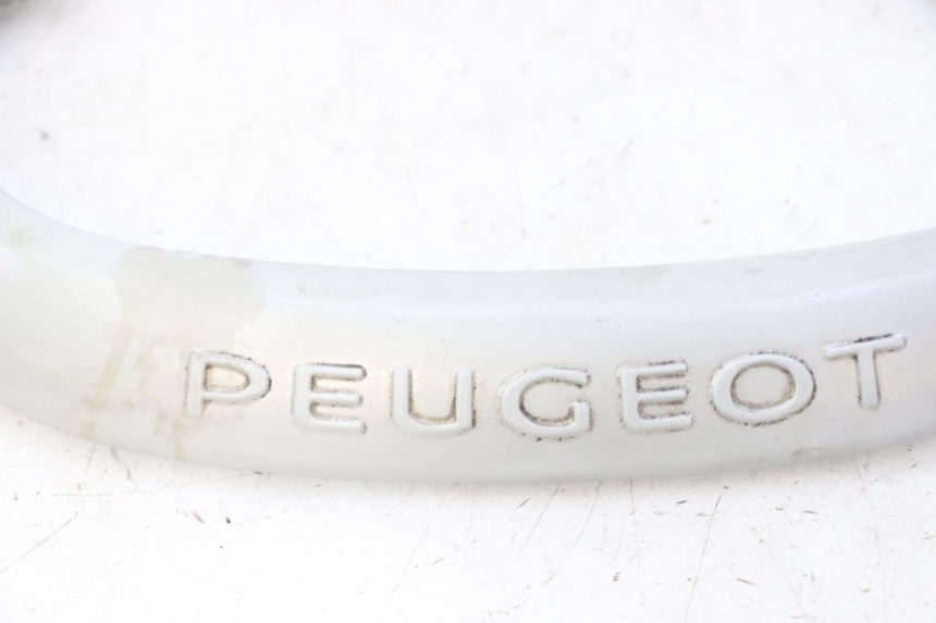 photo de POIGNEE ARRIERE PEUGEOT CITYSTAR 50 (2013 - 2017)