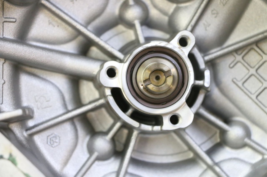 photo de POMPE A EAU PIAGGIO MP3 RL 250 (2007 - 2010)