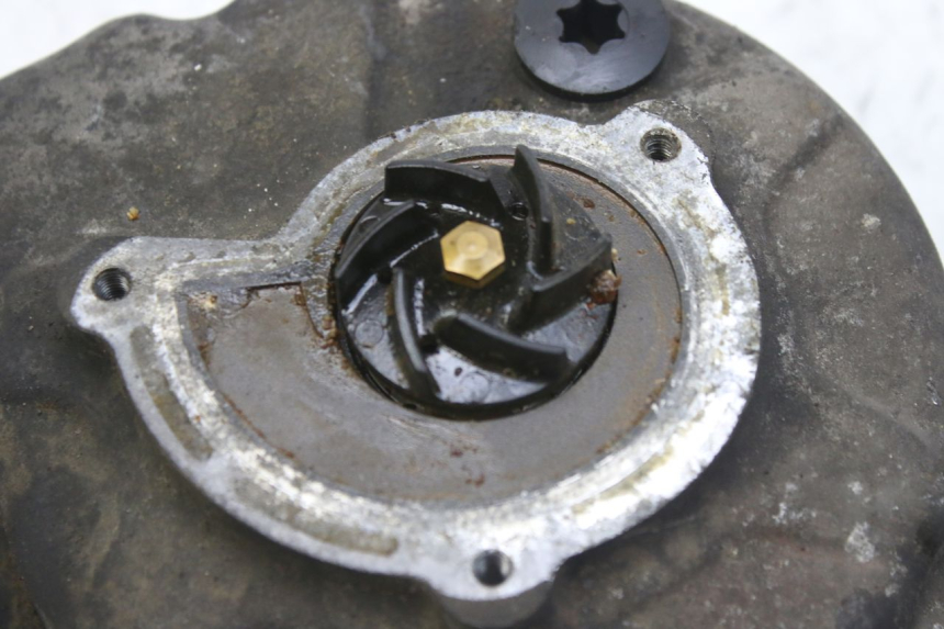 photo de POMPE A EAU PIAGGIO MP3 RL 250 (2007 - 2010)