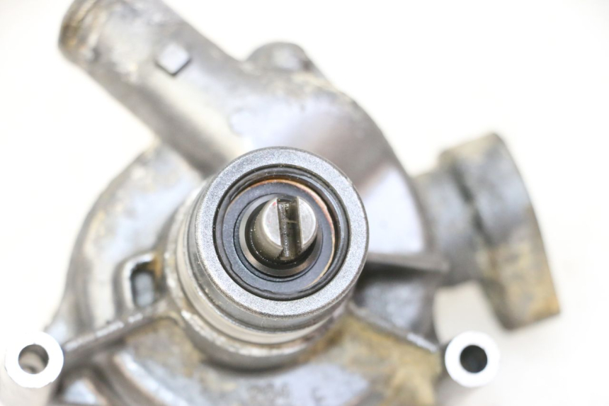 photo de POMPE A EAU TRIUMPH SPRINT 900 (1995 - 1998)