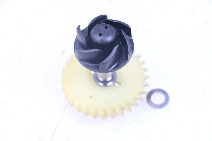 photo de POMPE A EAU FANTIC XM PERFORMANCE 2T 50 (2021 - 2022)