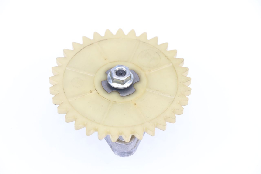 photo de POMPE A HUILE TNT MOTOR ROMA 10' 4T 50 (2007 - 2018)