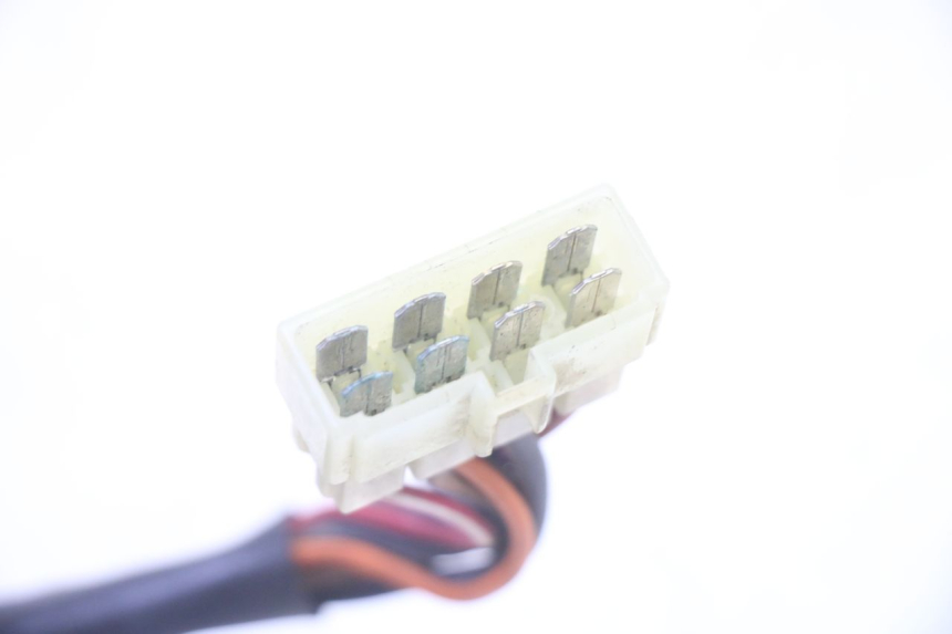 photo de PORTE FUSIBLE TRIUMPH SPRINT 900 (1995 - 1998)