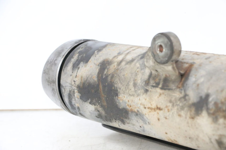 photo de POT ECHAPPEMENT SUZUKI BURGMAN 125 (2007 - 2014)