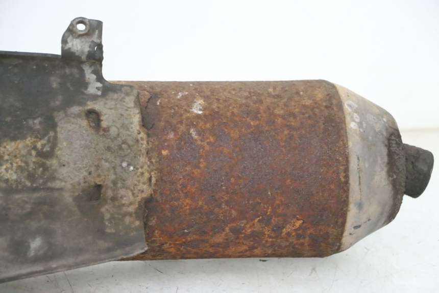 photo de POT ECHAPPEMENT PEUGEOT CITYSTAR 2T 50 (2018 - 2021)