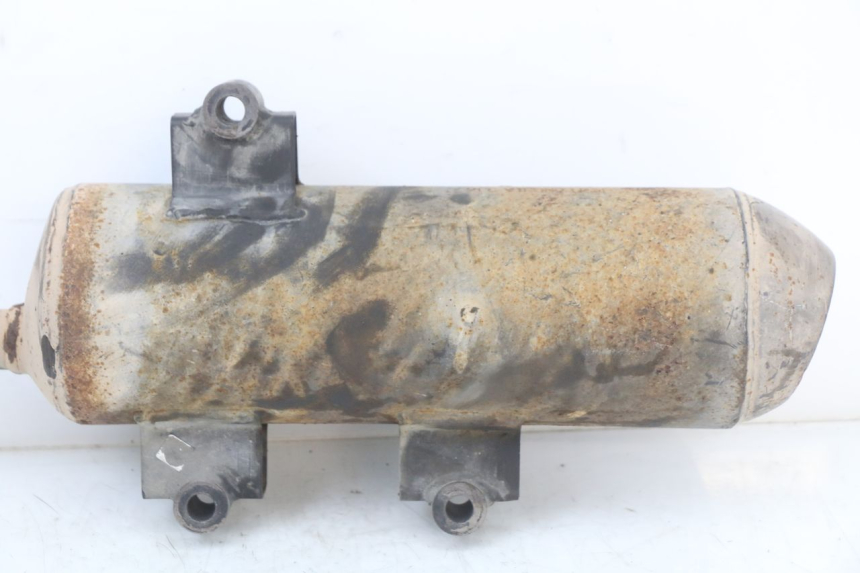 photo de POT ECHAPPEMENT LONGJIA EASY MAX 125 (2020 - 2024)