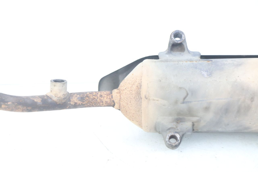 photo de POT ECHAPPEMENT HONDA FES S-WING SWING ABS 125 (2007 - 2015)