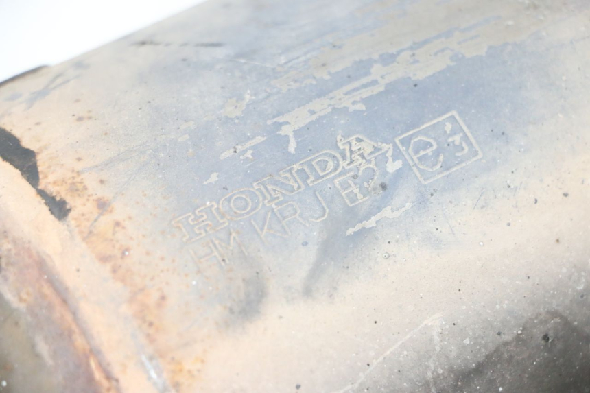 photo de POT ECHAPPEMENT HONDA FES S-WING SWING ABS 125 (2007 - 2015)