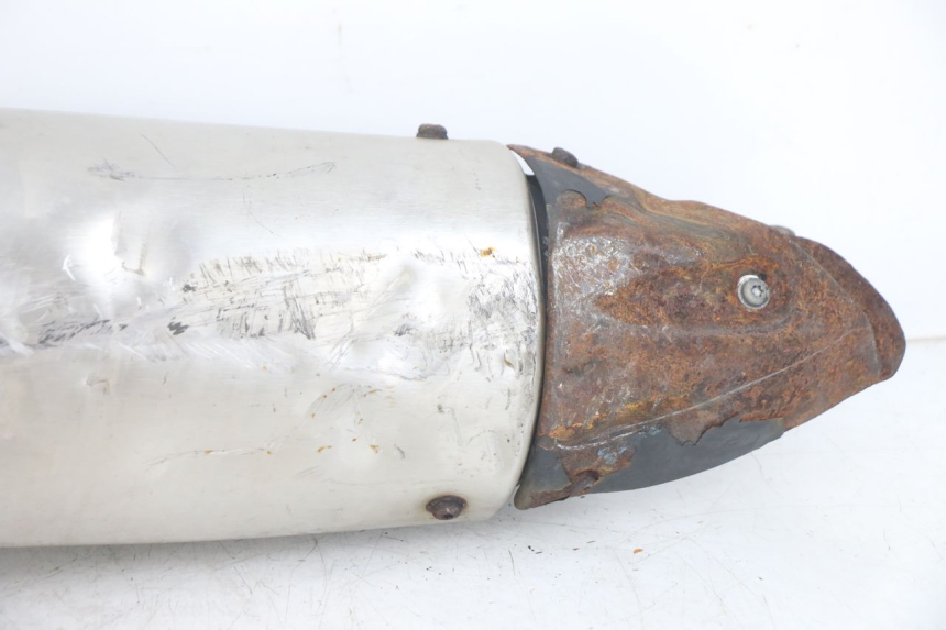 photo de POT ECHAPPEMENT PEUGEOT GEOPOLIS RS 125 (2007 - 2009)