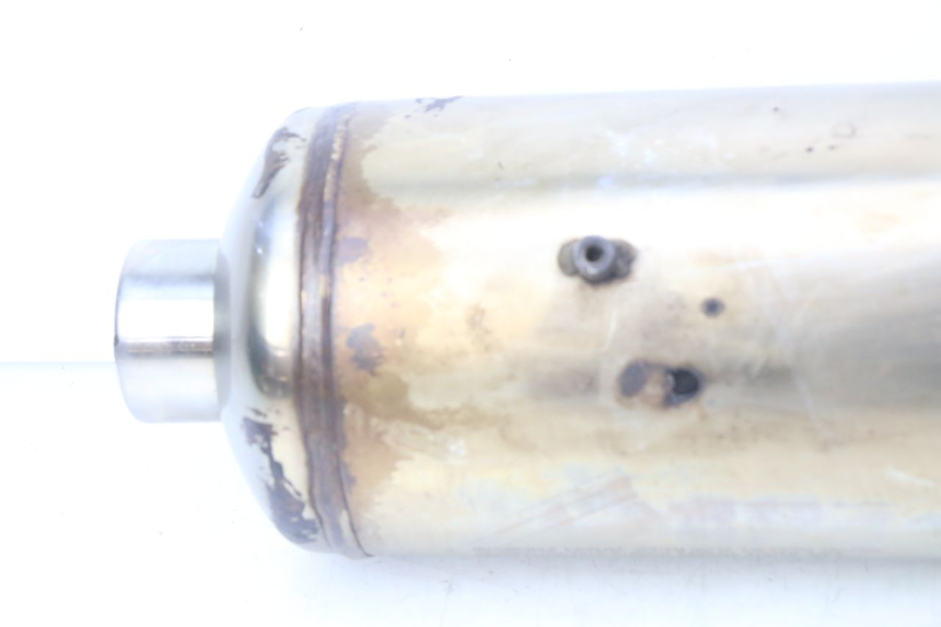 photo de POT ECHAPPEMENT PIAGGIO MP3 500 (2011 - 2015)