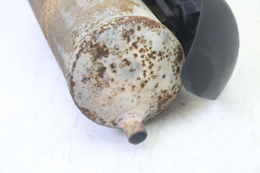 photo de POT ECHAPPEMENT TNT MOTOR ROMA 10' 2T 50 (2011 - 2018)