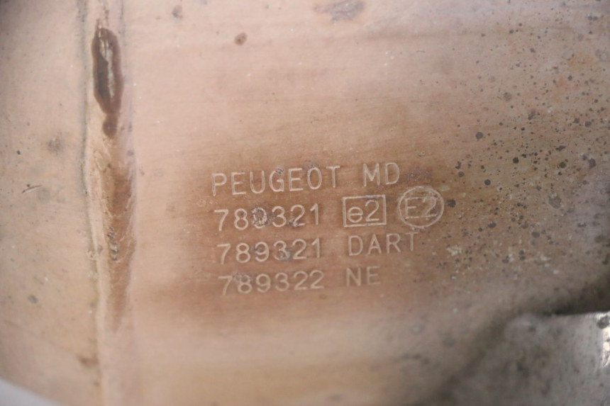 photo de POT ECHAPPEMENT PEUGEOT SATELIS 125 (2013 - 2018)