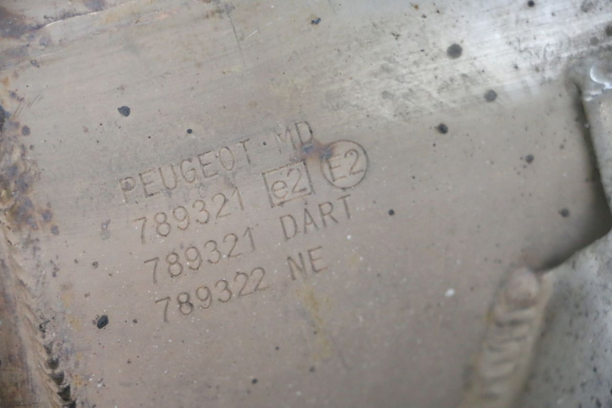 photo de POT ECHAPPEMENT PEUGEOT SATELIS 125 (2013 - 2018) - Marquages et références