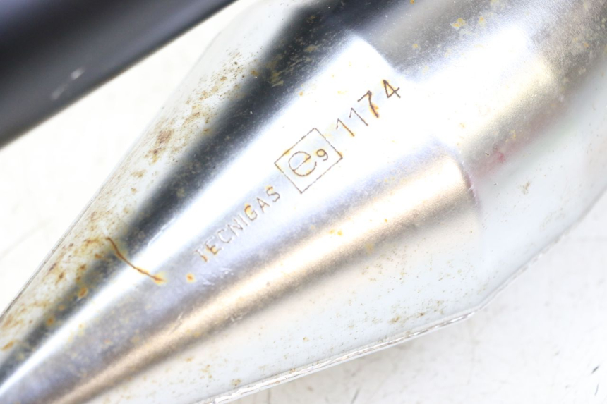 photo de POT ECHAPPEMENT TNT MOTOR ROMA 10' 2T 50 (2011 - 2018)