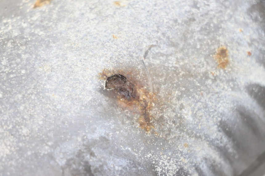 photo de POT ECHAPPEMENT YAMAHA YP MAJESTY 125 (2007 - 2010)