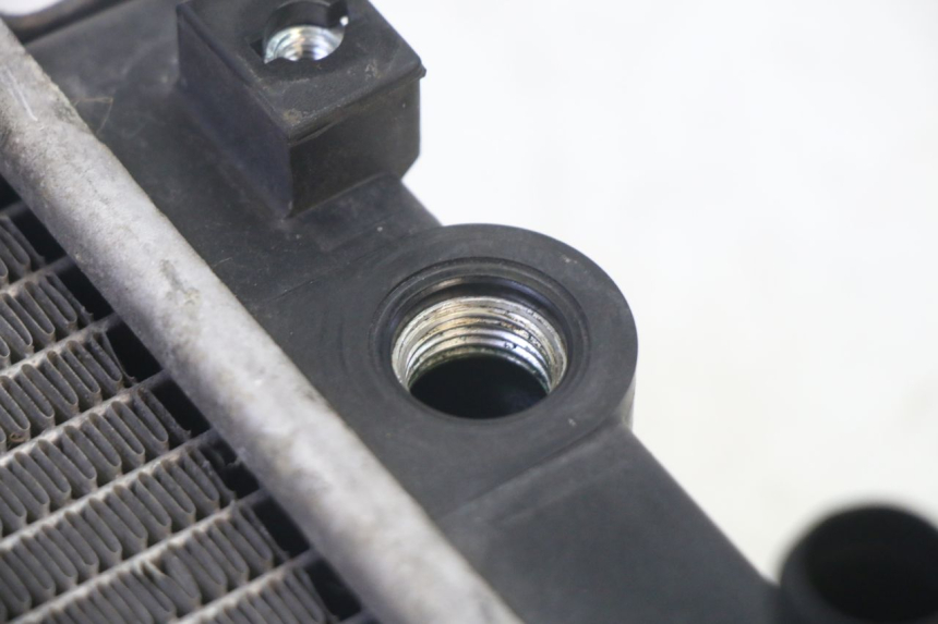 photo de RADIATEUR QUADRO 4 4D 350 (2015 - 2018)