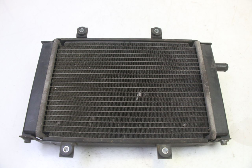 photo de RADIATEUR QUADRO 4 4D 350 (2015 - 2018)