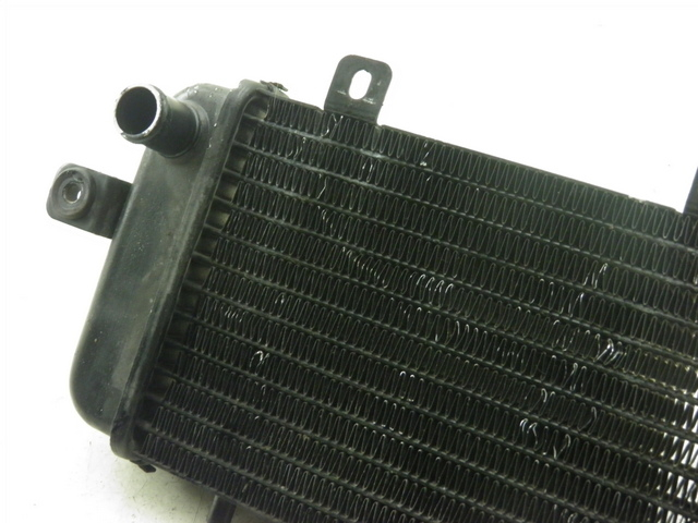 photo de RADIATEUR BMW C1 125 (2000 - 2003)