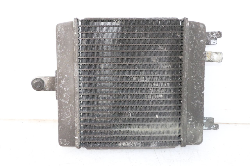 photo de RADIATEUR SUZUKI BURGMAN 125 (2007 - 2014)