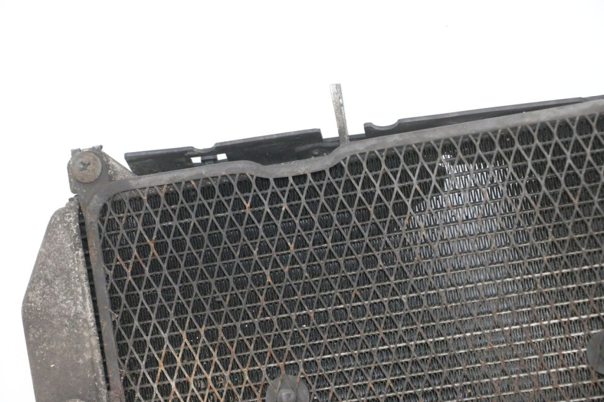 photo de RADIATEUR SUZUKI BURGMAN 650 (2013 - 2020)