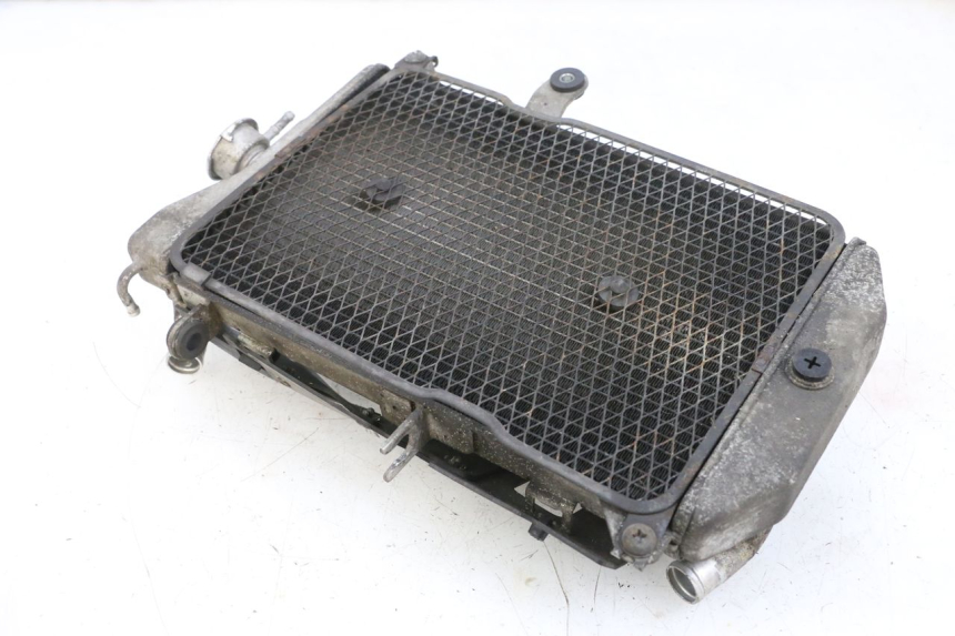 photo de RADIATEUR SUZUKI BURGMAN 650 (2013 - 2020)