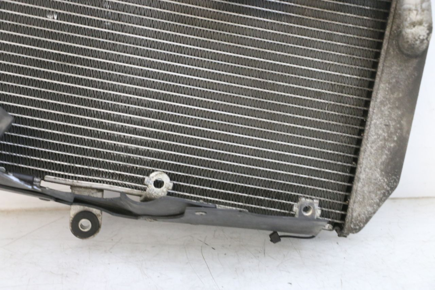 photo de RADIATEUR SUZUKI BURGMAN 650 (2013 - 2020)