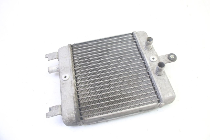 photo de RADIATEUR SUZUKI BURGMAN 125 (2007 - 2014) - Vue principale