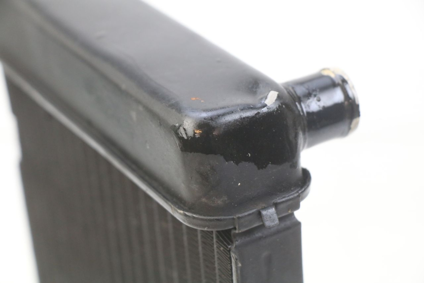 photo de RADIATEUR HONDA CBF 500 (2004 - 2007)