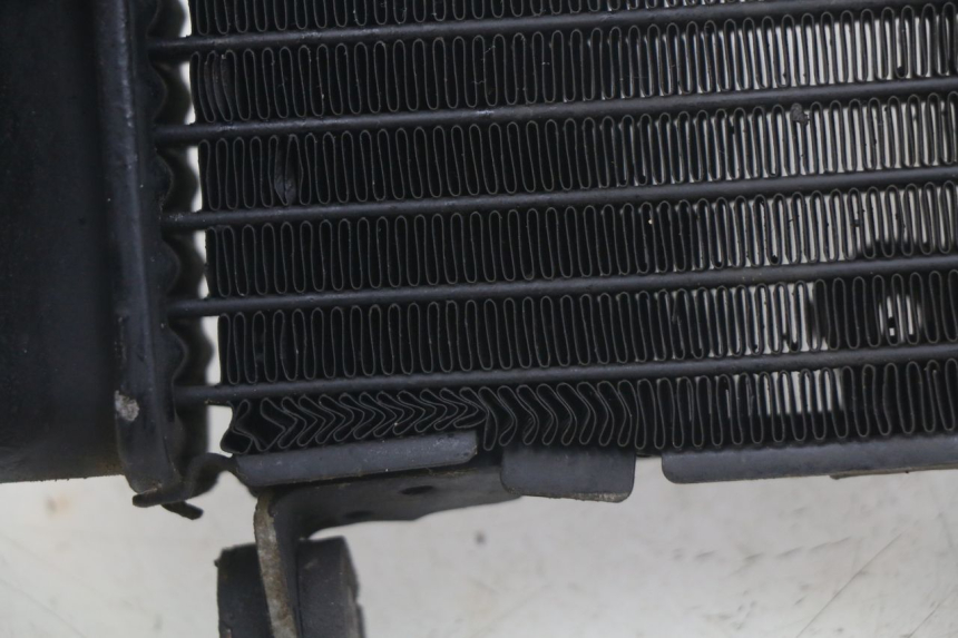 photo de RADIATEUR HONDA CBF 500 (2004 - 2007)