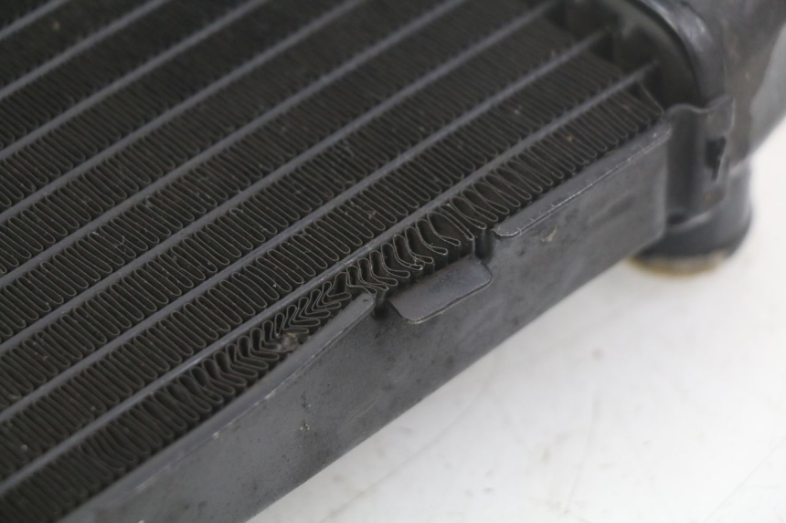 photo de RADIATEUR HONDA CBF 500 (2004 - 2007)