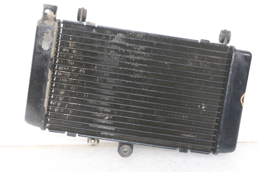 photo de RADIATEUR HONDA CBF 500 (2004 - 2007)