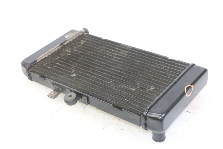 photo de RADIATEUR HONDA CBF 500 (2004 - 2007)