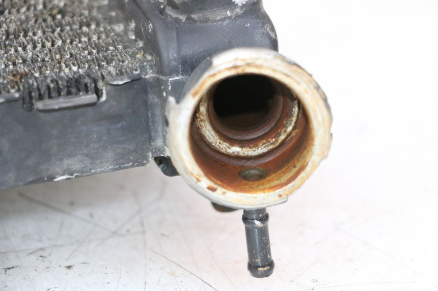 photo de RADIATEUR HONDA CBR RR FIREBLADE 900 (1992 - 1994)