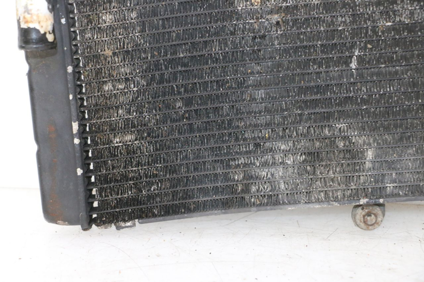 photo de RADIATEUR HONDA CBR RR FIREBLADE 900 (1992 - 1994)