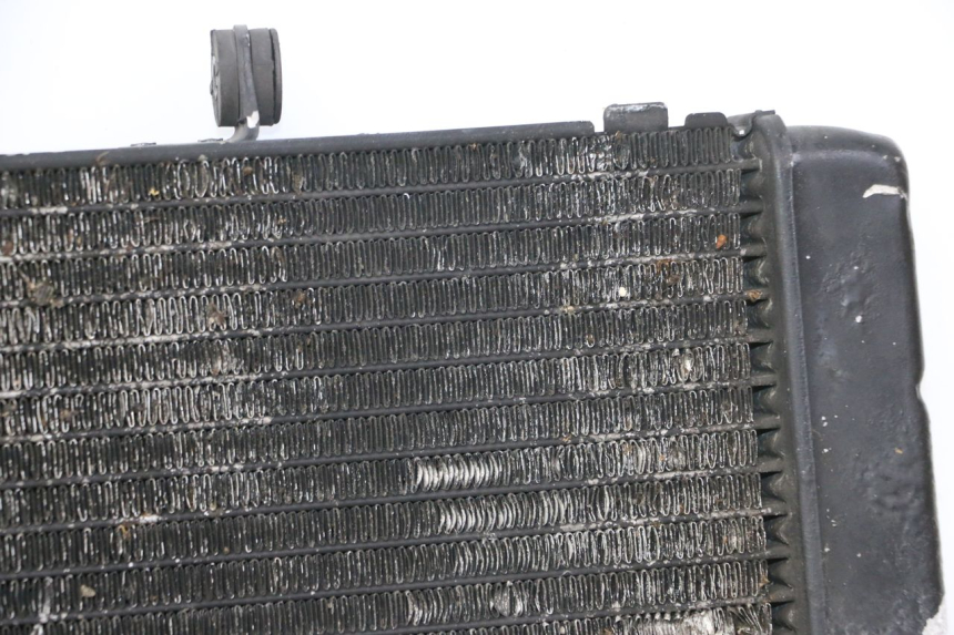 photo de RADIATEUR HONDA CBR RR FIREBLADE 900 (1992 - 1994)