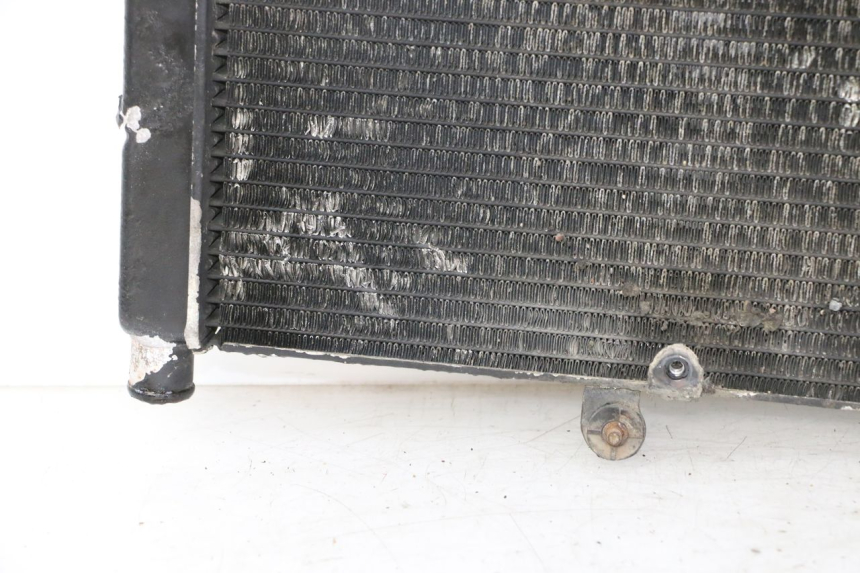 photo de RADIATEUR HONDA CBR RR FIREBLADE 900 (1992 - 1994)