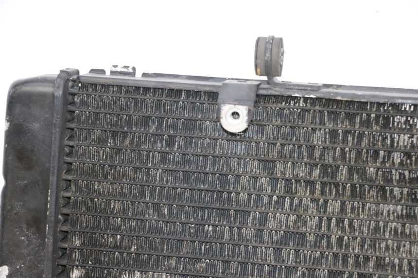 photo de RADIATEUR HONDA CBR RR FIREBLADE 900 (1992 - 1994)