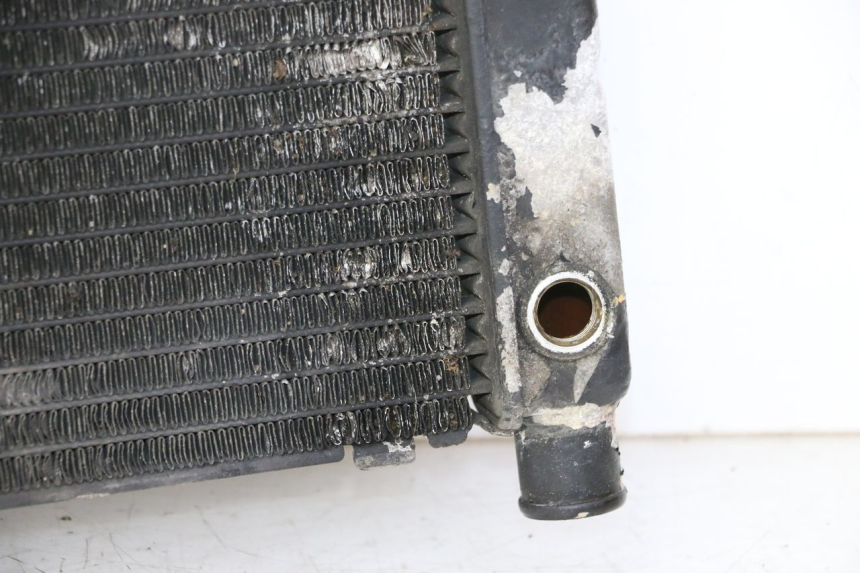 photo de RADIATEUR HONDA CBR RR FIREBLADE 900 (1992 - 1994)