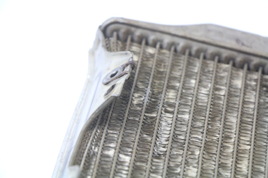photo de RADIATEUR HONDA CRF CR-F 450 (2001 - 2005)