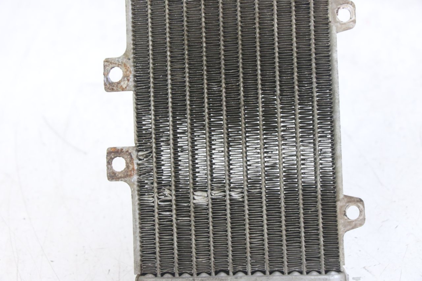 photo de RADIATEUR GILERA DNA 50 (2000 - 2007)