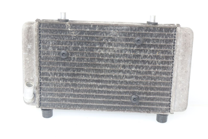 photo de RADIATEUR MBK EVOLIS 125 (2014 - 2018)