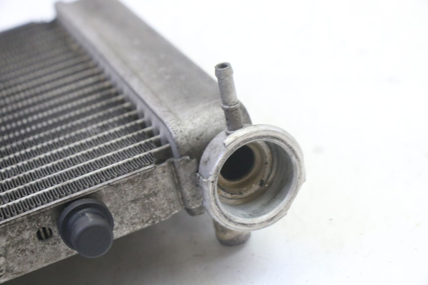photo de RADIATEUR HONDA FES S-WING SWING ABS 125 (2007 - 2015)