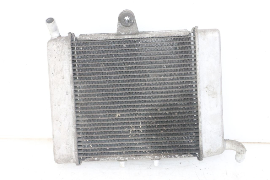 photo de RADIATEUR HONDA FORZA ABS 300 (2013 - 2019)