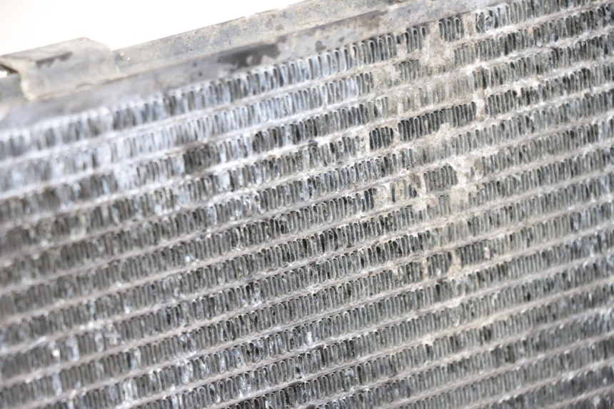 photo de RADIATEUR YAMAHA FZ6 FAZER S2 600 (2007 - 2011)