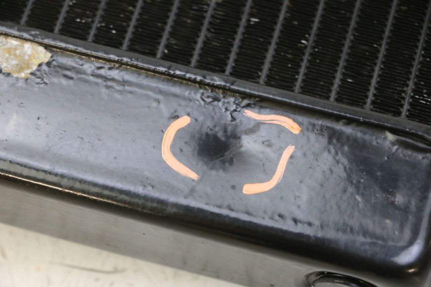 photo de RADIATEUR YAMAHA FZ6 N FAZER 600 (2004 - 2006)