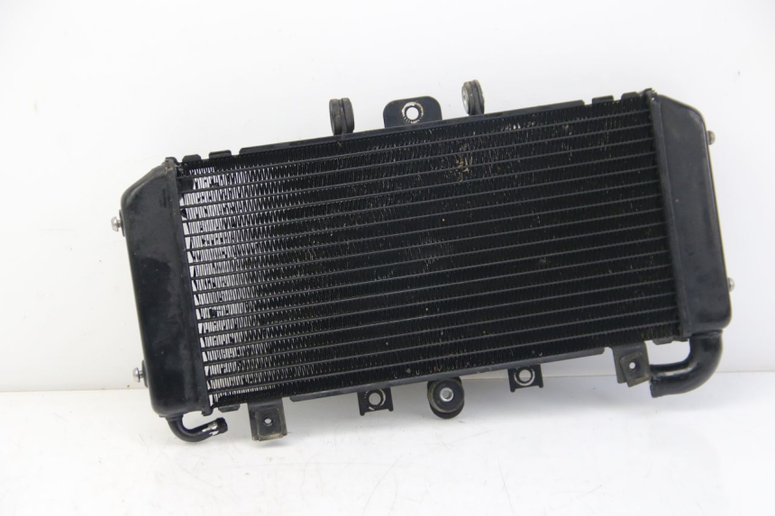 photo de RADIATEUR YAMAHA FZS FAZER 600 (2001 - 2003)