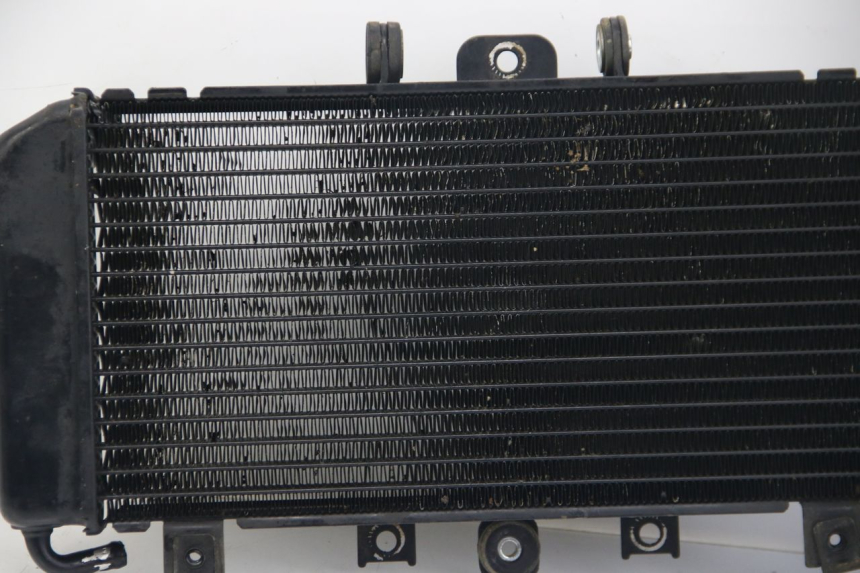 photo de RADIATEUR YAMAHA FZS FAZER 600 (2001 - 2003)